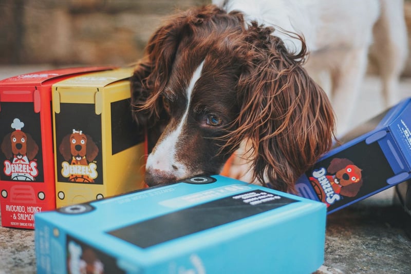 Cajas de suscripción para mascotas